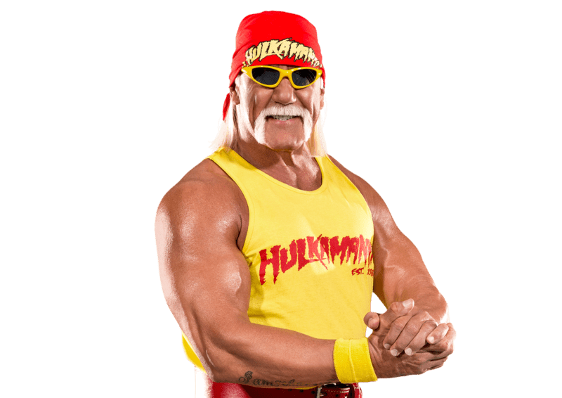 Hulk Hogan Costume: Hulkamania! 10 Beefy Factoids You Never Knew About Hulk Hogan - TVStoreOnline