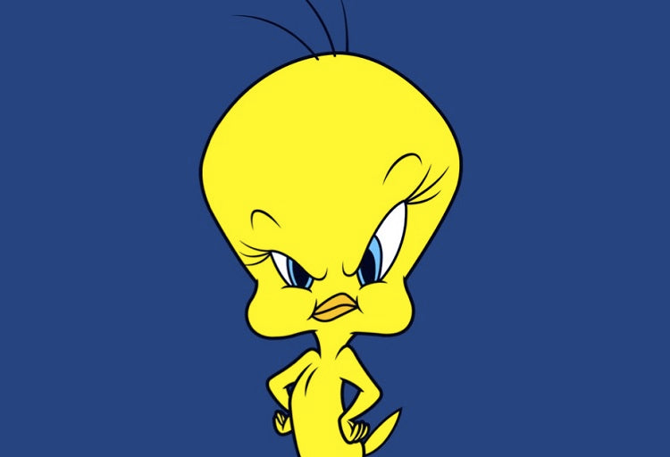 TWEET THIS: 21 Facts You Never Knew About Looney Tune’s Tweety Bird! - TVStoreOnline