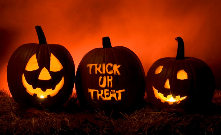 What Day is Halloween (2016) - TVStoreOnline