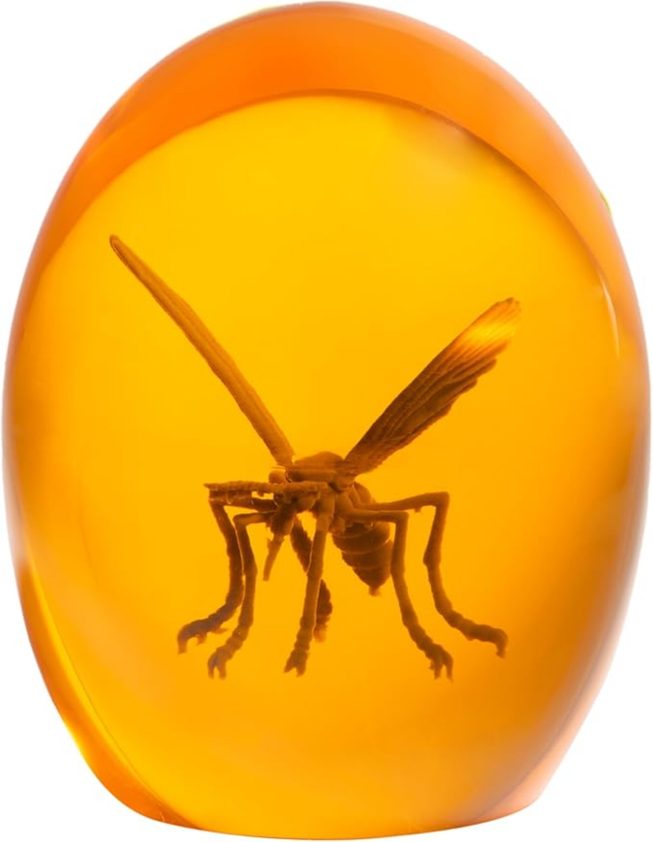 Prehistoric Mosquito in Amber Replica Movie Paperweight Halloween Cosplay Prop