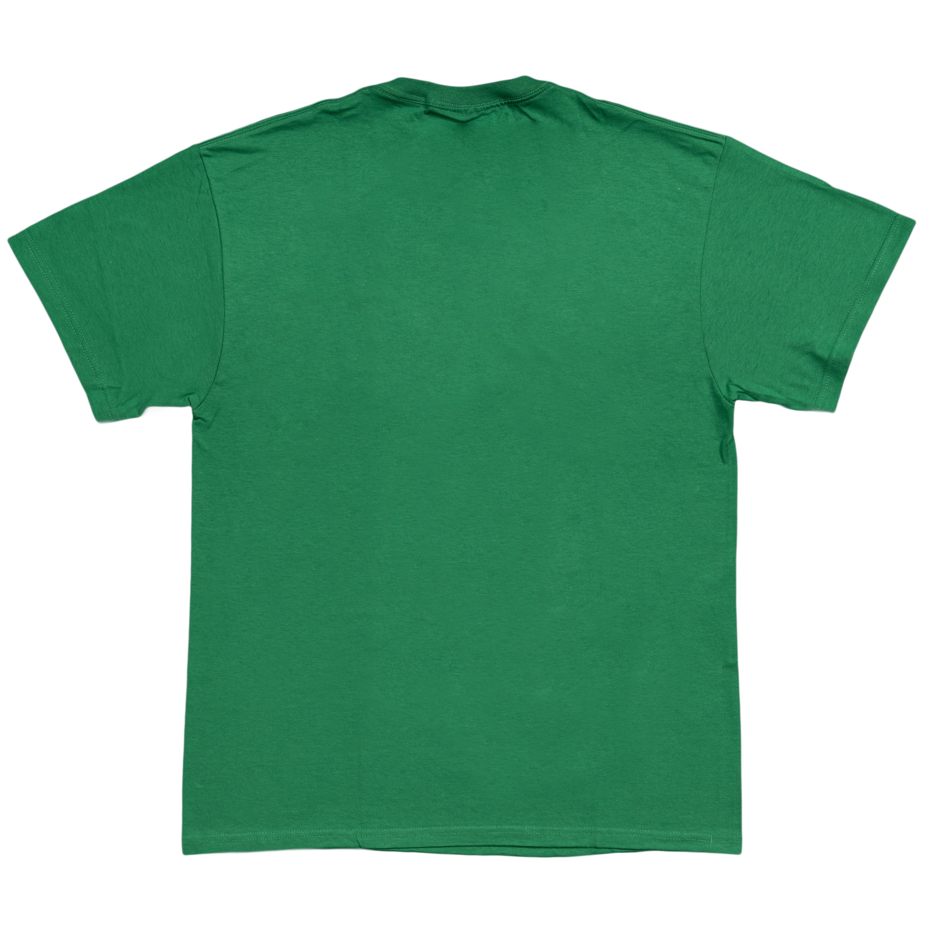 Zelda Skyward Sword Link T-Shirt