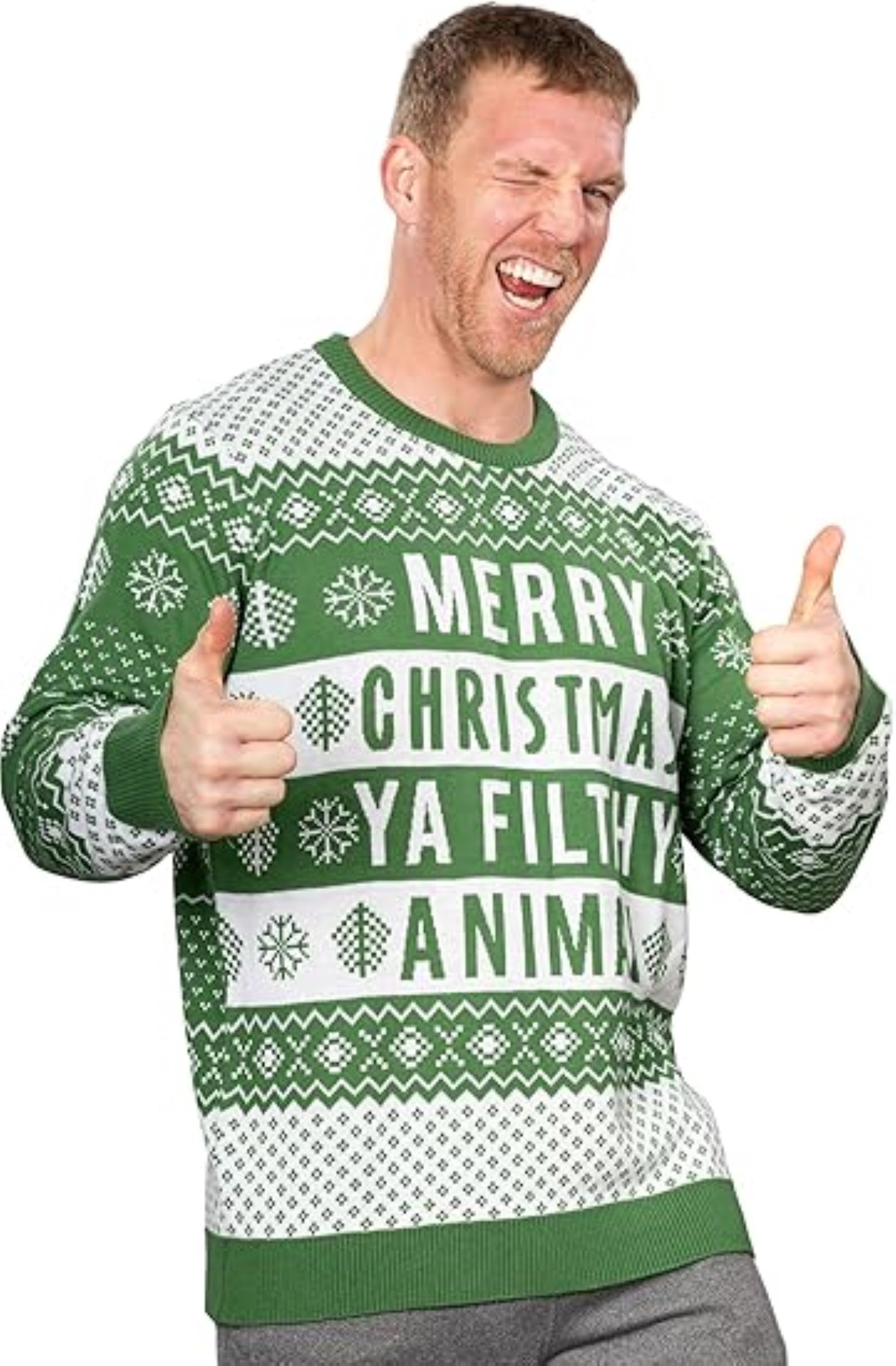 Ya Filthy Animal Quote Adult Unisex Ugly Christmas Sweater (Green)