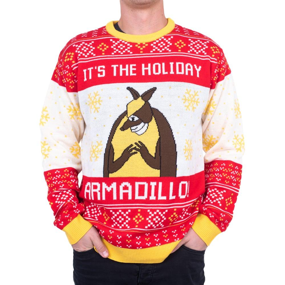 Friends Holiday Armadillo Sweater picture