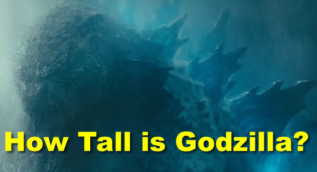 How Tall is Godzilla?  And Other Godzilla KOTM and Godzilla vs Kong Questions Answered - TVStoreOnline