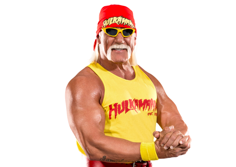 Adult Hulk Hogan Halloween Costume