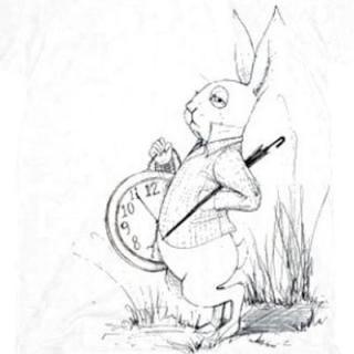 Alice in Wonderland - TVStoreOnline
