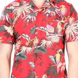 Magnum P.I. - TVStoreOnline