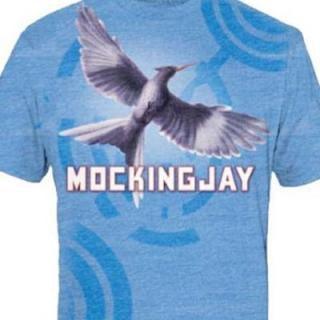The Hunger Games - TVStoreOnline
