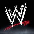 World Wrestling Entertainment Costumes - TVStoreOnline