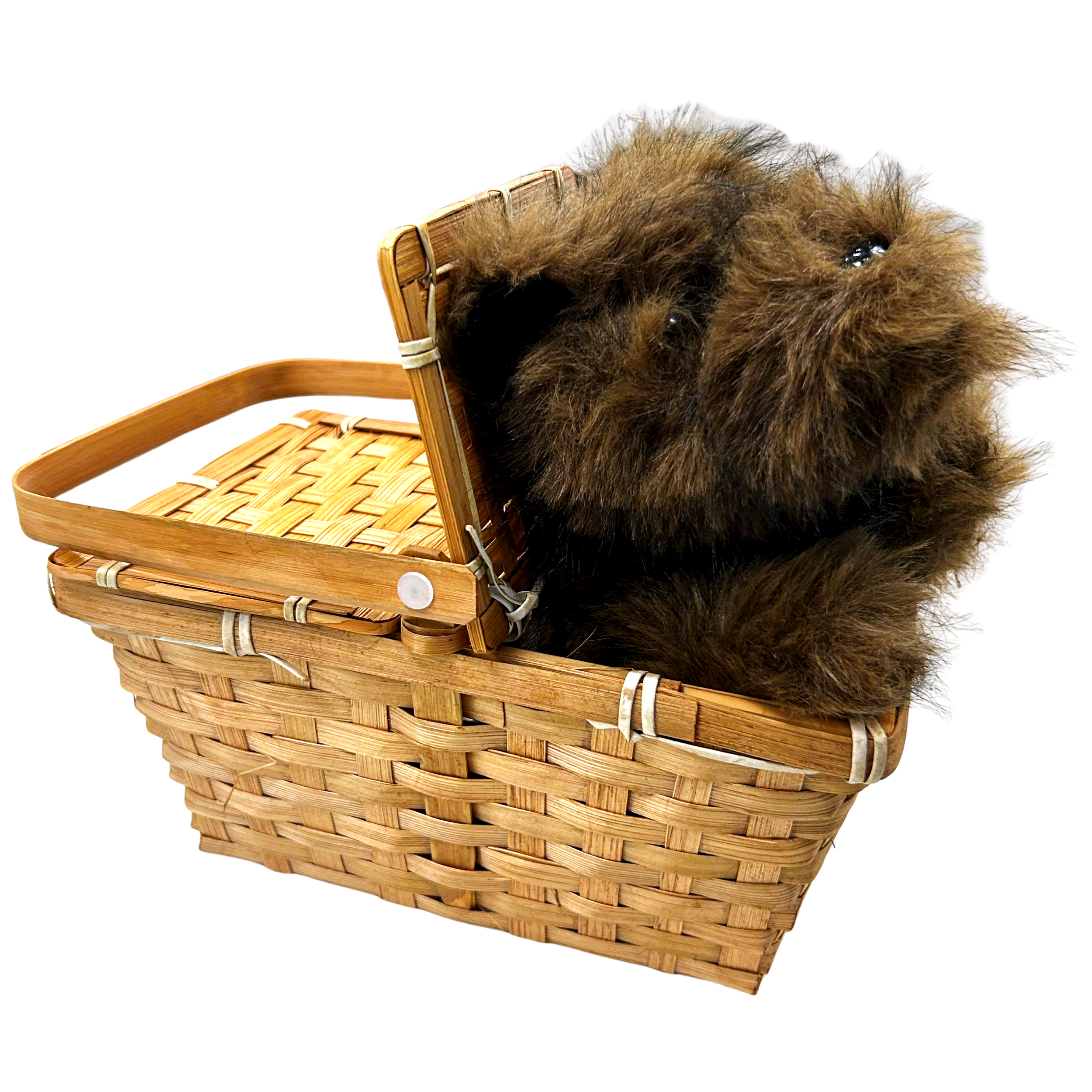 Replica Toto Dog Wizard Halloween Cosplay Costume Accessory Plush W/ Basket