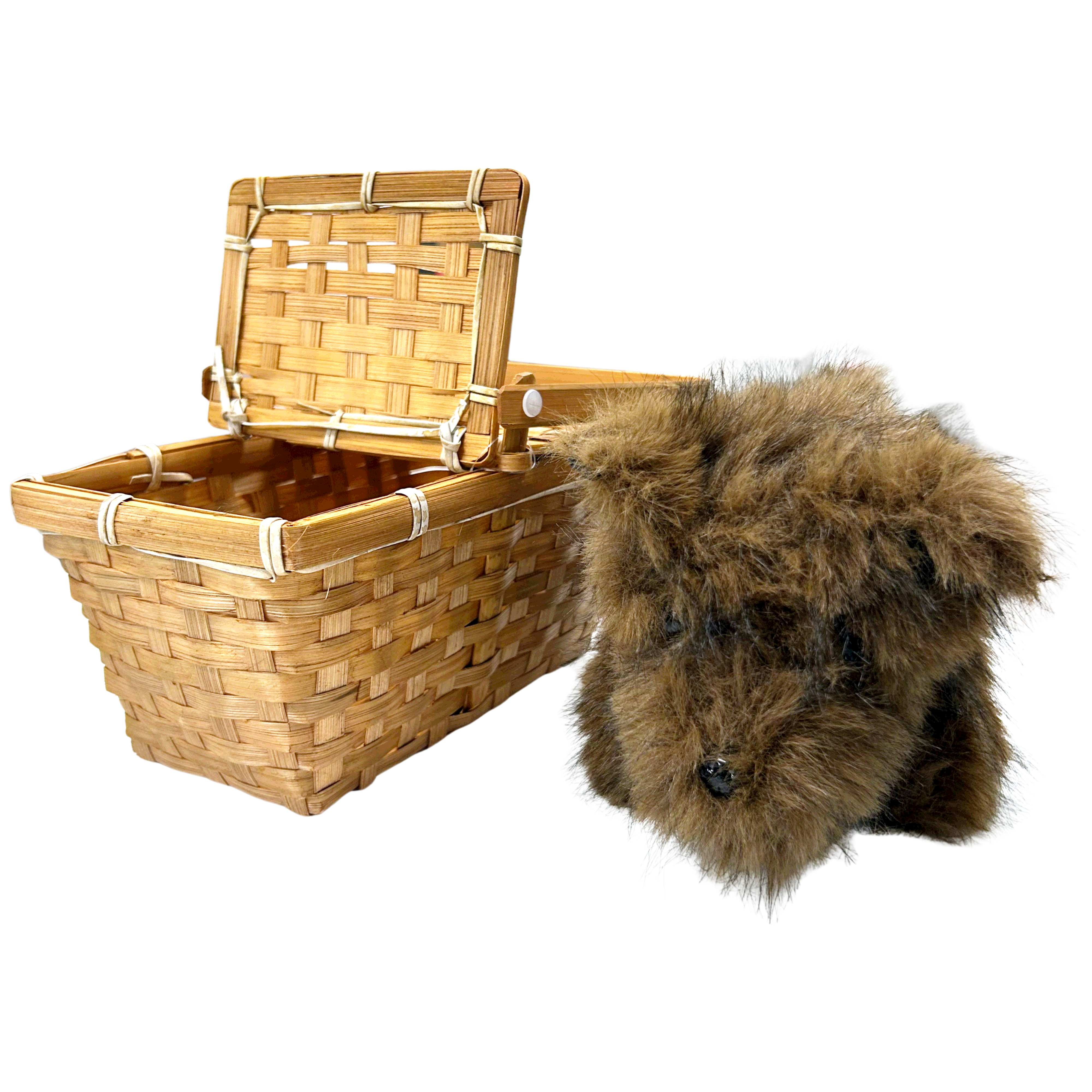 Replica Toto Dog Wizard Halloween Cosplay Costume Accessory Plush W/ Basket