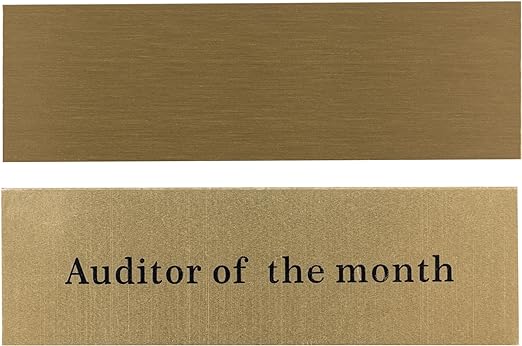 Everything Everywhere All Auditor of The Month Plug Throphy Custom