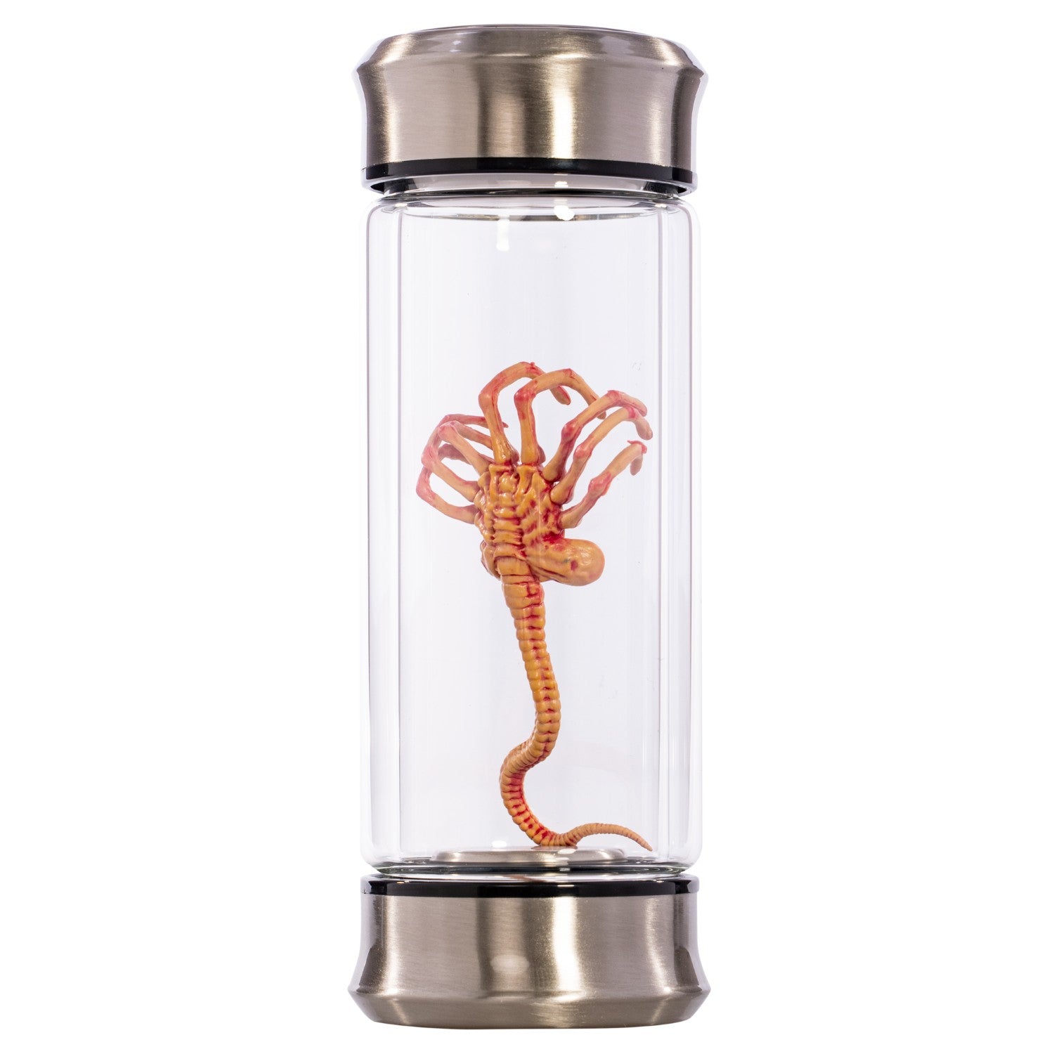 Alien Critter Embryo in Jar Glass Bottle with Display Box 8” Collectible Movie Prop Replica for Halloween Costume