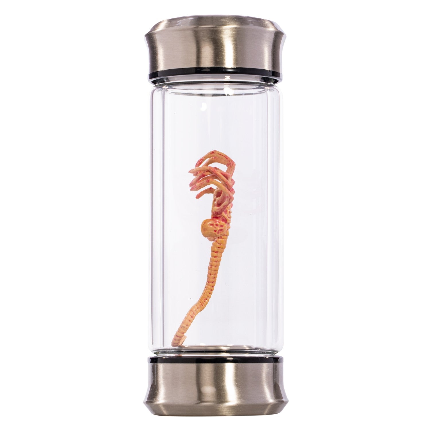 Alien Critter Embryo in Jar Glass Bottle with Display Box 8” Collectible Movie Prop Replica for Halloween Costume