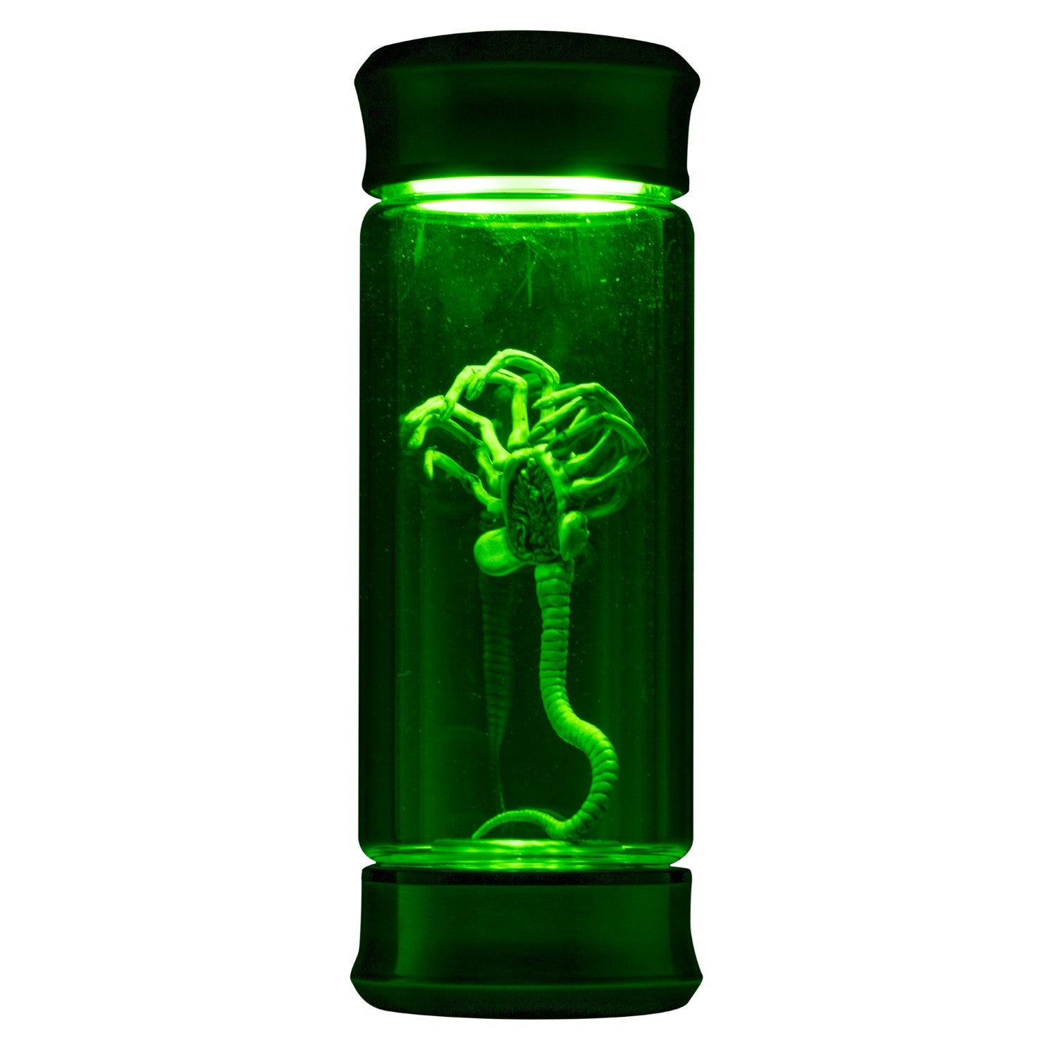 Alien Critter Embryo in Jar Glass Bottle with Display Box 8” Collectible Movie Prop Replica for Halloween Costume