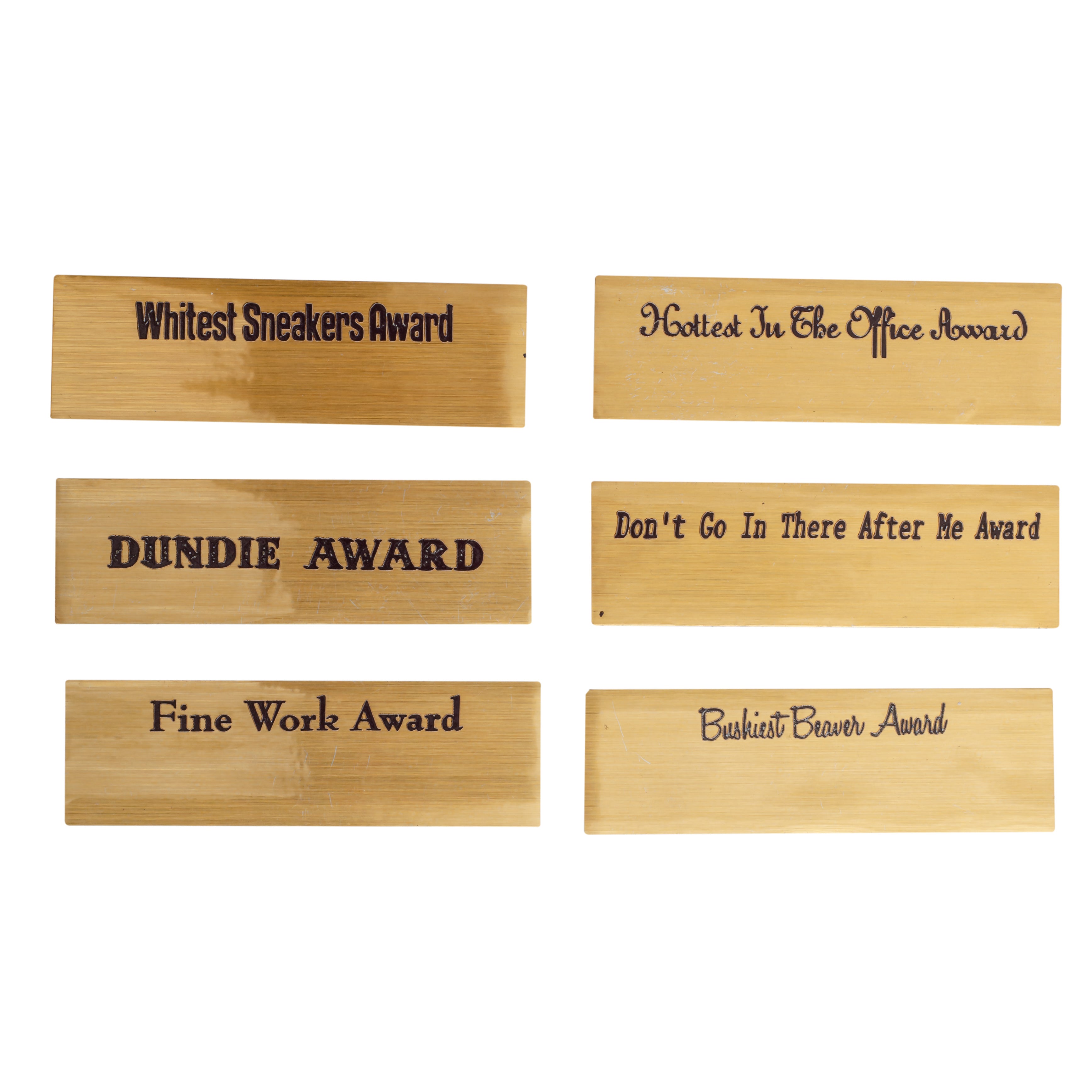 Replica Funny The Office Official Dundie Award W/ Interchangeable Placards