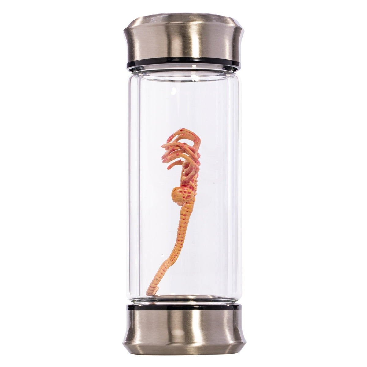 Alien Embryo Glass Jar Display 8” Collectible Movie Prop Replica - TVStoreOnline