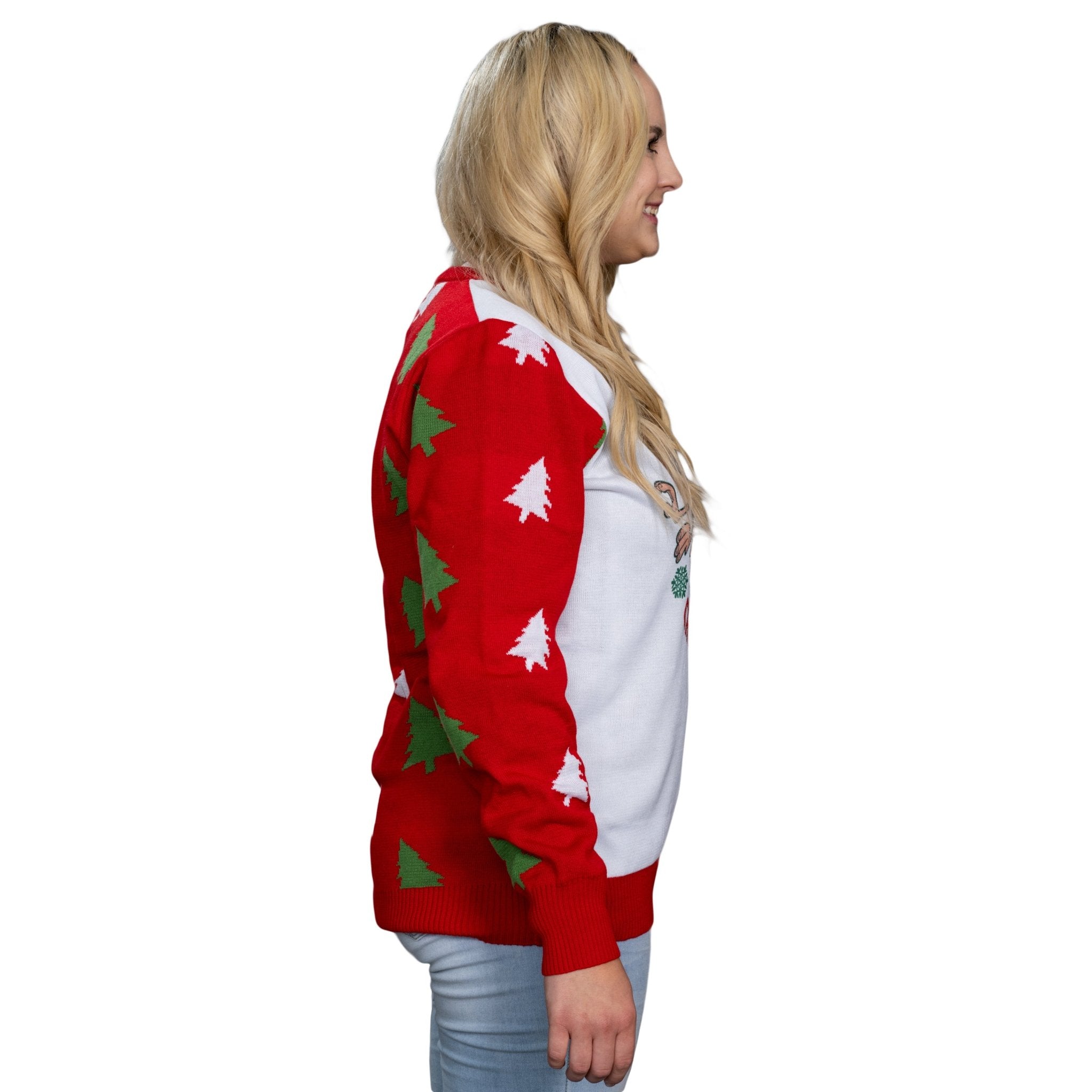 Ren & Stimpy | Crazy About Christmas Sweater - TVStoreOnline