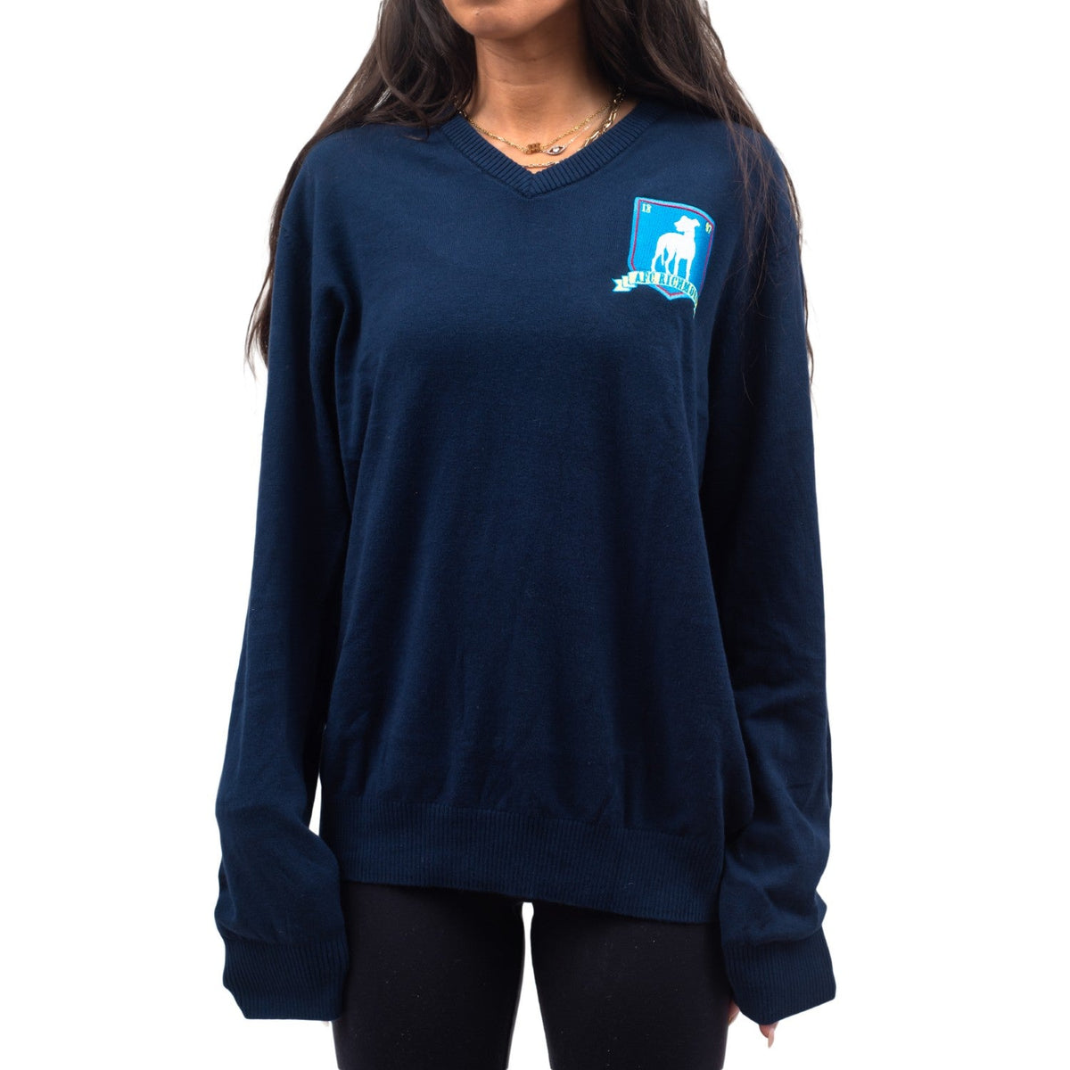 Ted Lasso Coach AFC Richmond Sweater Halloween Costume Cosplay - TVStoreOnline